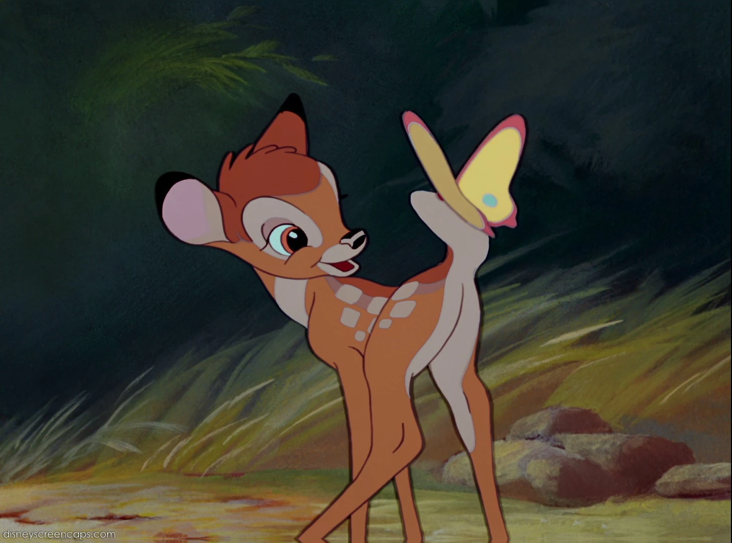 Bambi Disney