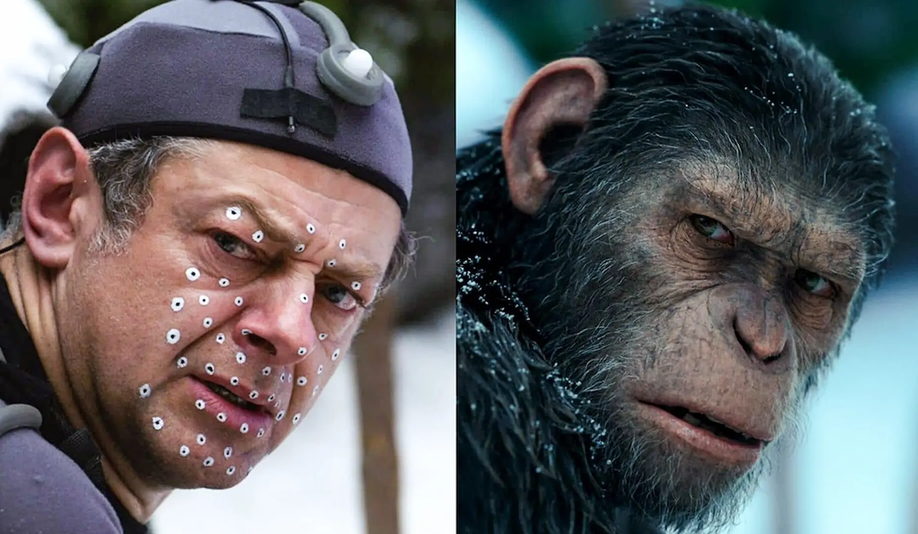 CGI - Planet of the Apes