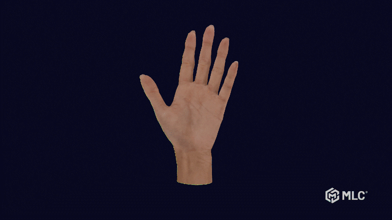 3D hand rig animation showing realistic finger movement and control systems used across multiple industries