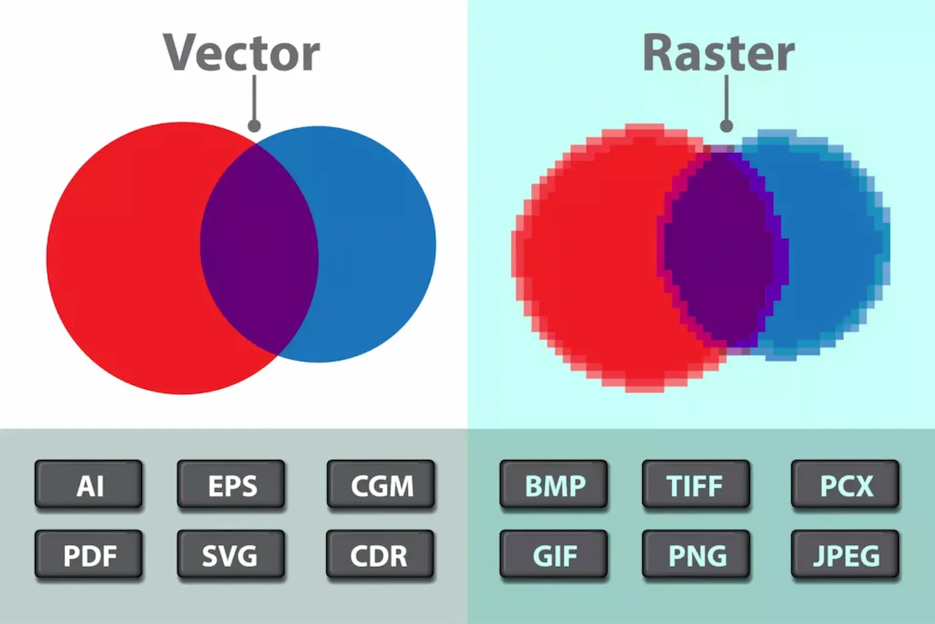 Comparison of vector and raster graphics showing smooth scalable shapes versus pixelated images with common file formats