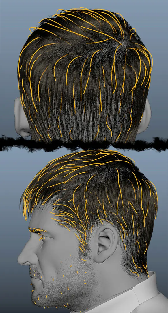 3D Character Hair & Fur