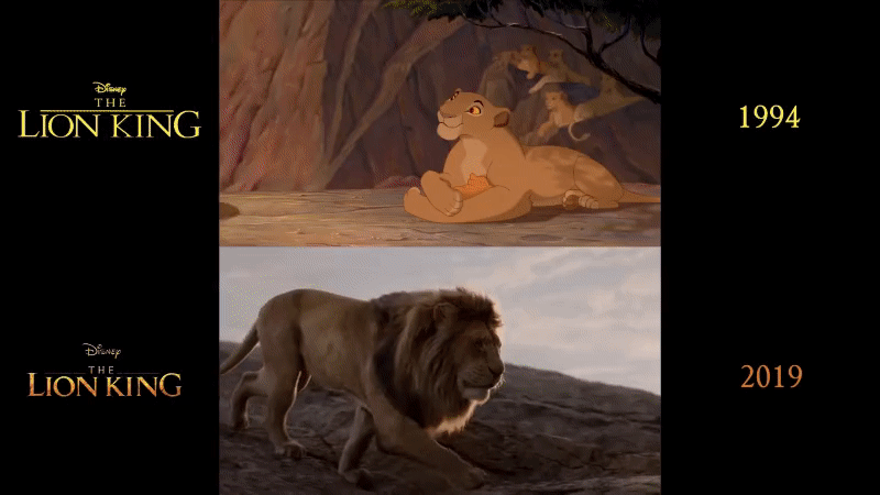 GIF comparison of Disney's The Lion King 1994 (2D) and 2019 (3D), demonstrating hand-drawn versus photorealistic style difference.