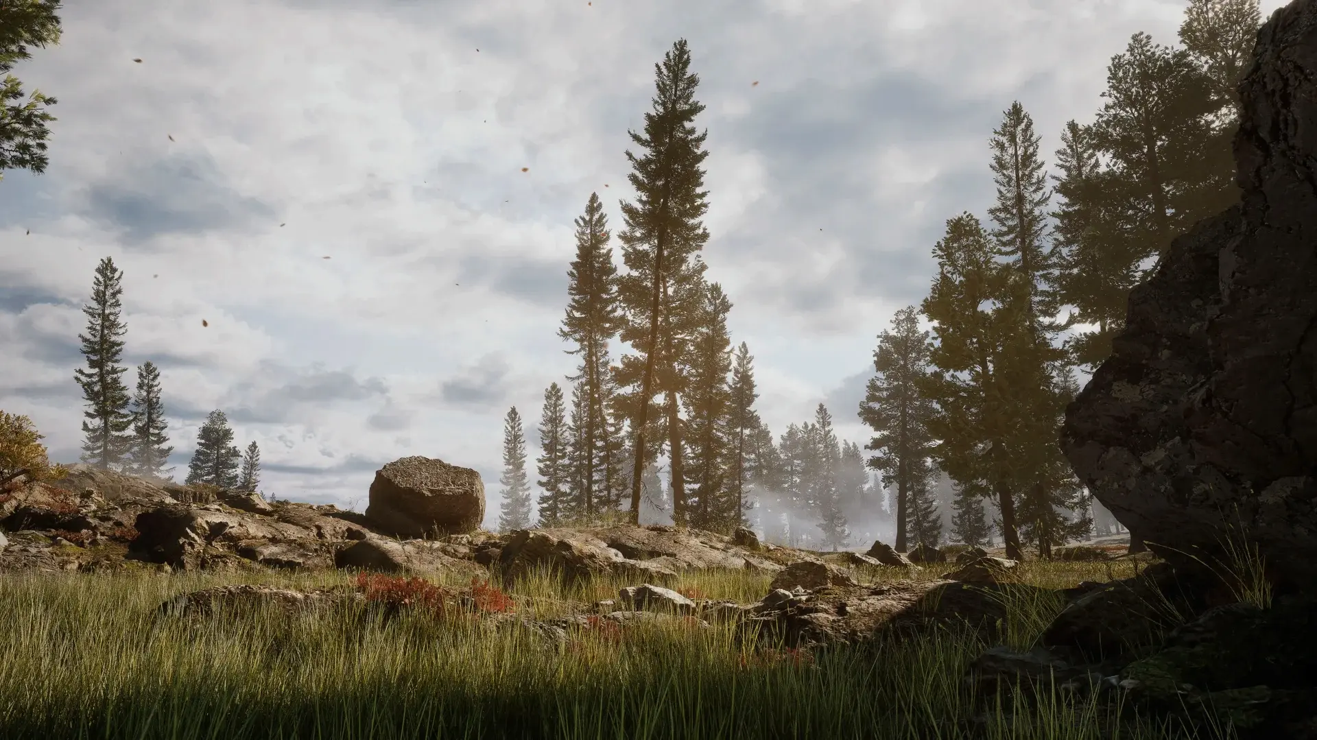 Photorealistic 3D forest environment render featuring coniferous trees and rocky terrain for game level design.