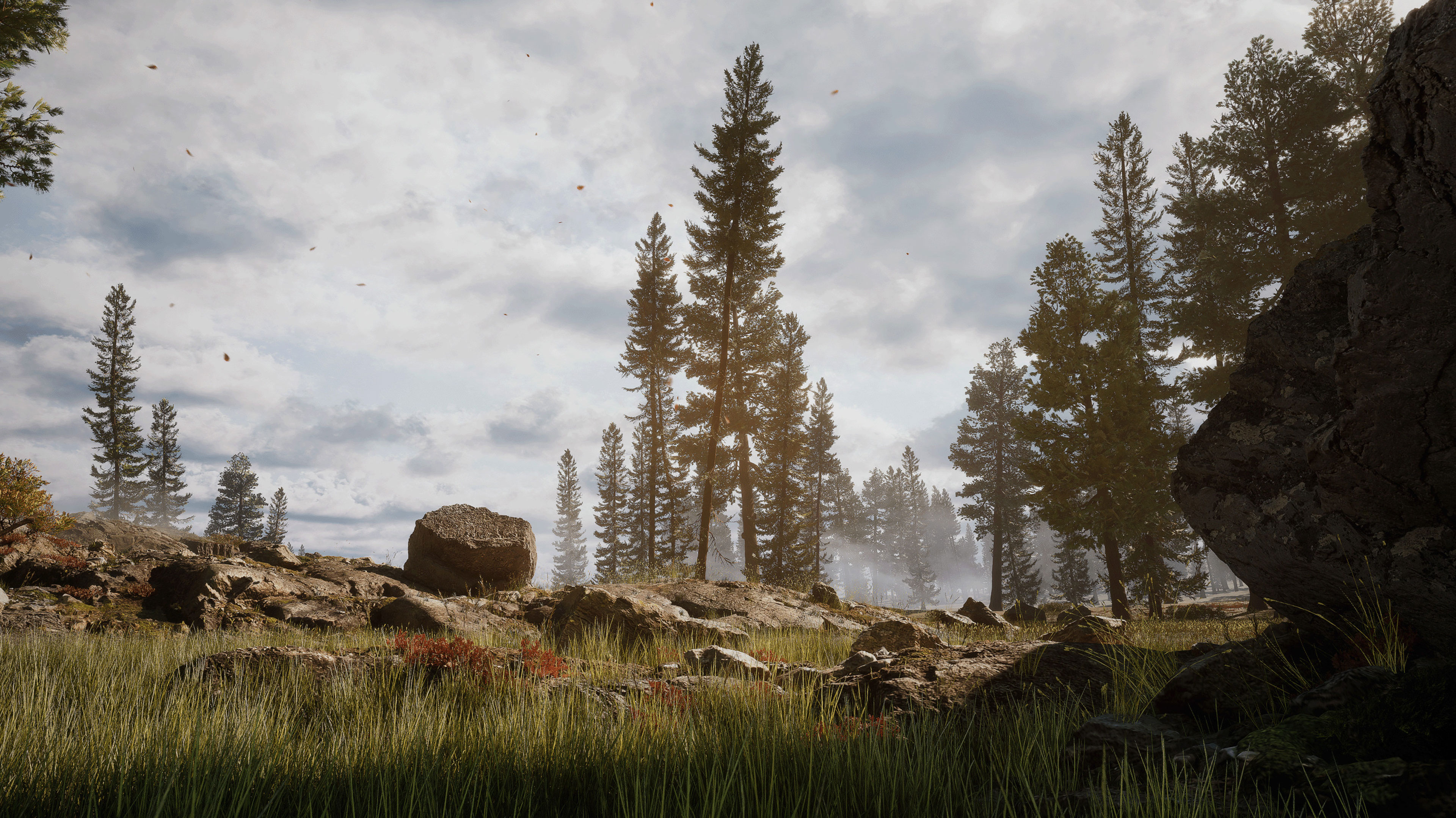 Realistic 3D forest environment with reusable natural assets