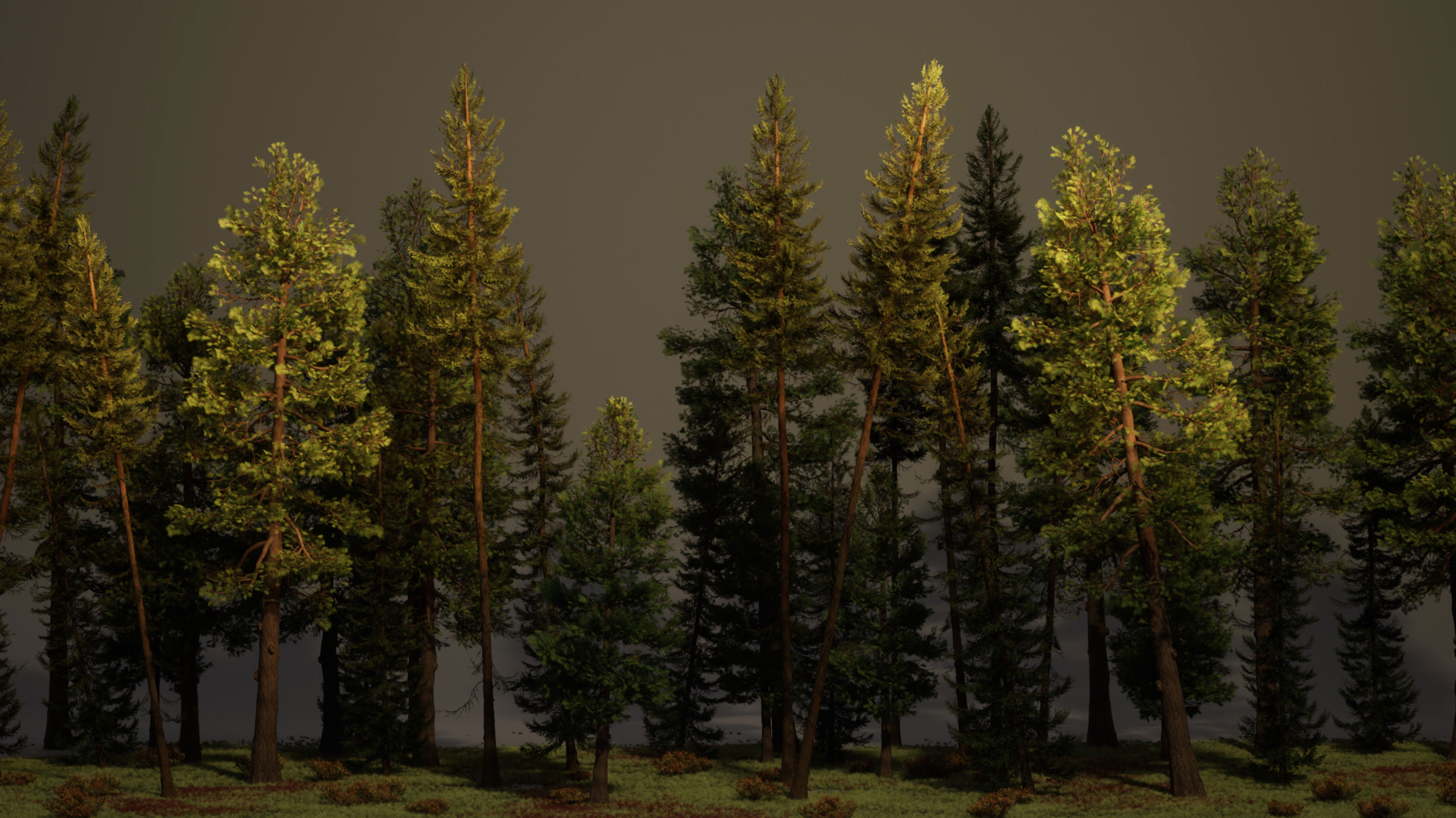 Reusable 3D tree assets for a modular environment library